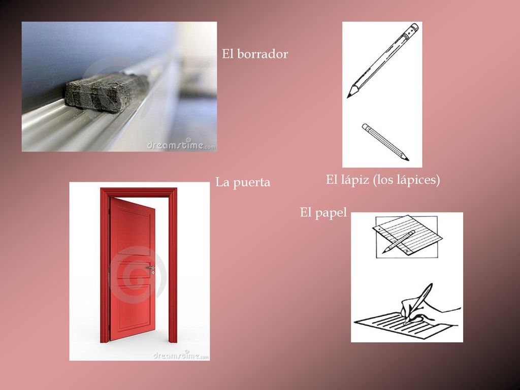 El borrador La puerta El lápiz (los lápices) El papel