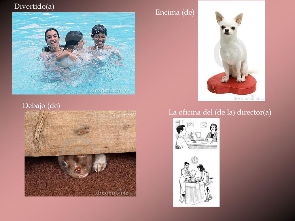 Divertido(a) Encima (de) Debajo (de) La oficina del (de la) director(a)