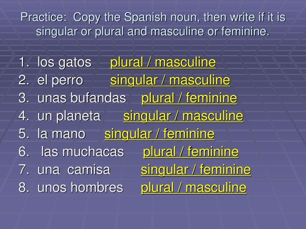 1. los gatos plural / masculine 2. el perro singular / masculine