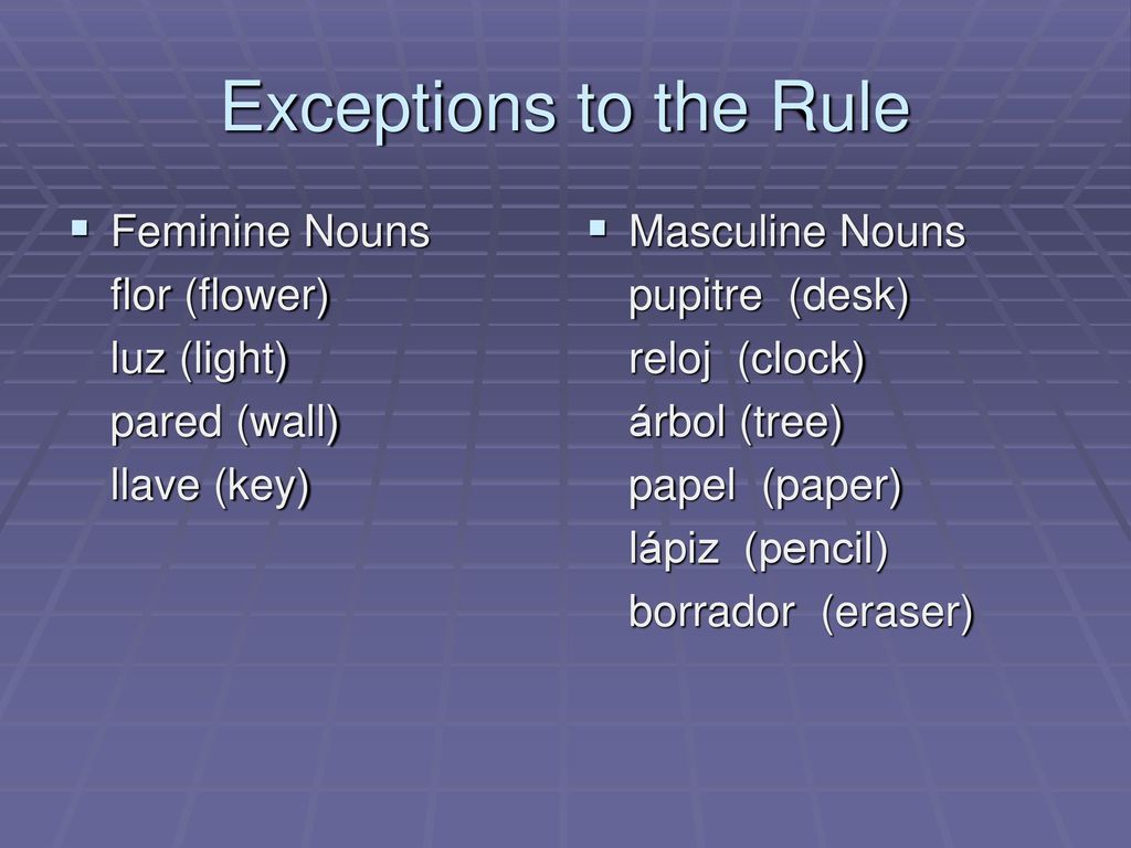Exceptions to the Rule Feminine Nouns flor (flower) luz (light)