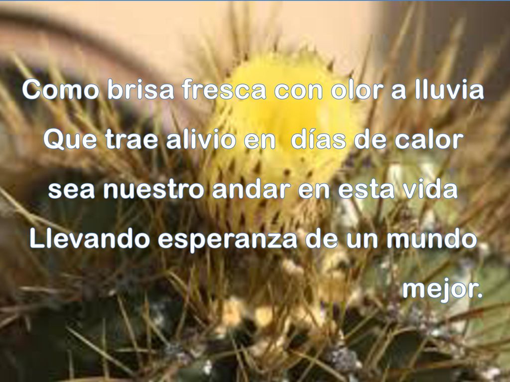 Como brisa fresca con olor a lluvia Que trae alivio en días de calor sea nuestro andar en esta vida Llevando esperanza de un mundo mejor.