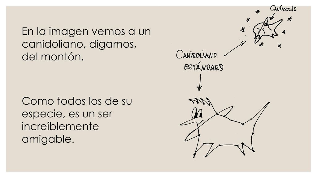 En la imagen vemos a un canidoliano, digamos, del montón.