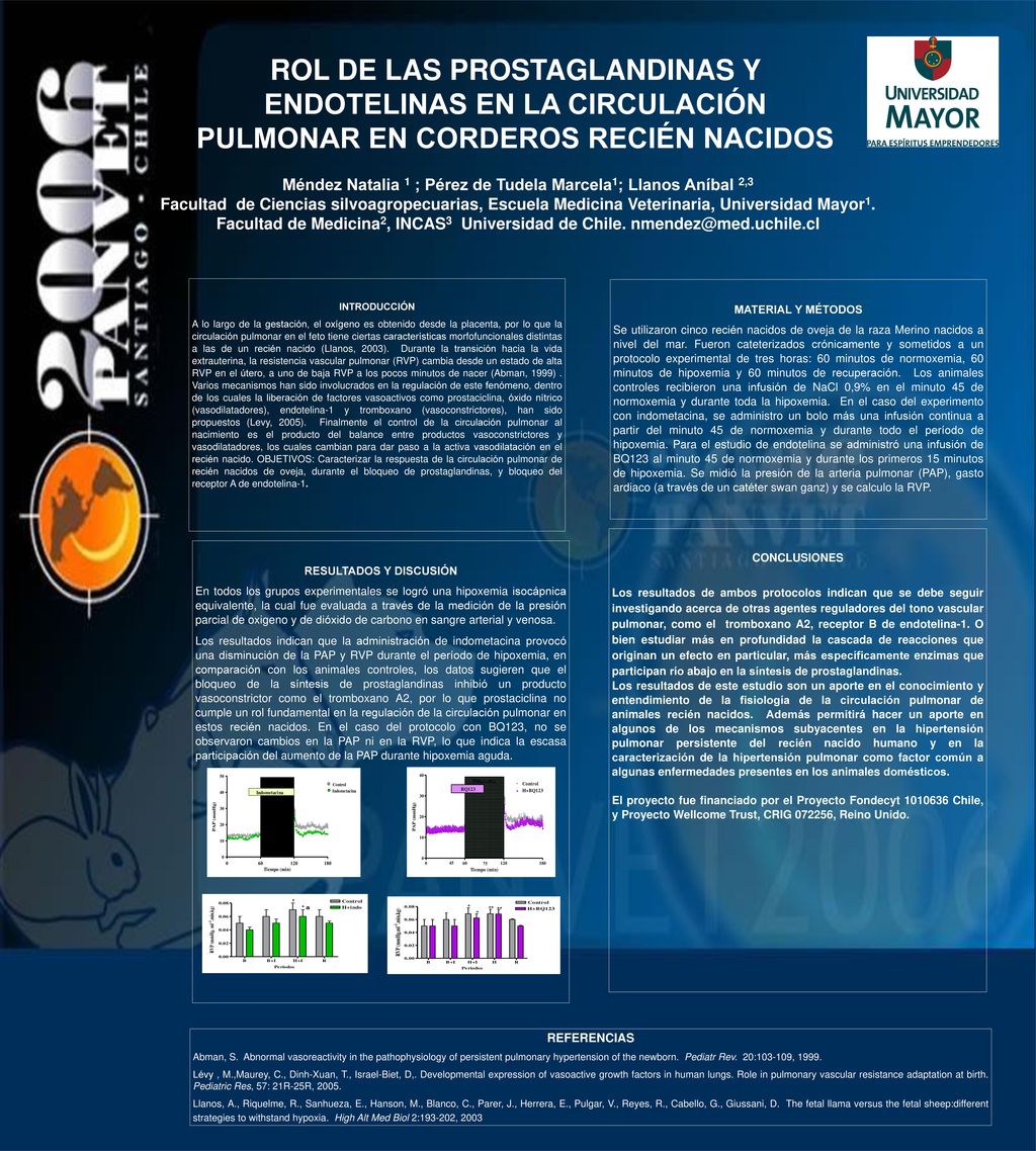 Logo institución ROL DE LAS PROSTAGLANDINAS Y ENDOTELINAS EN LA CIRCULACIÓN PULMONAR EN CORDEROS RECIÉN NACIDOS.