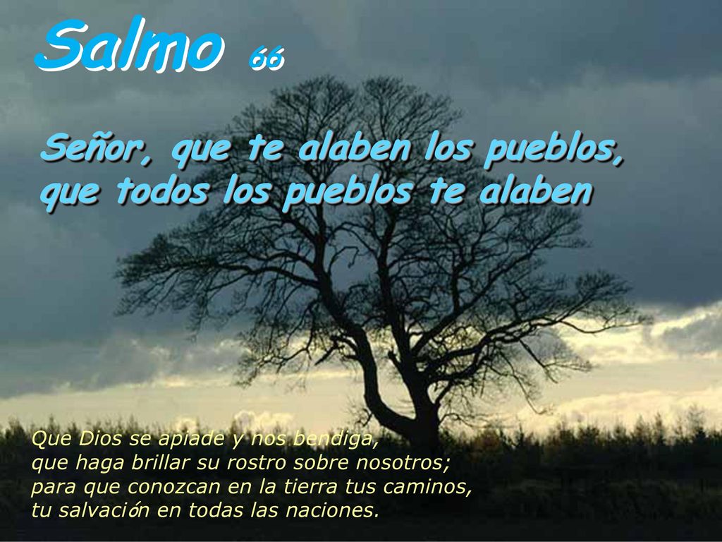 Salmo 66 Señor, que te alaben los pueblos, que todos los pueblos te alaben.
