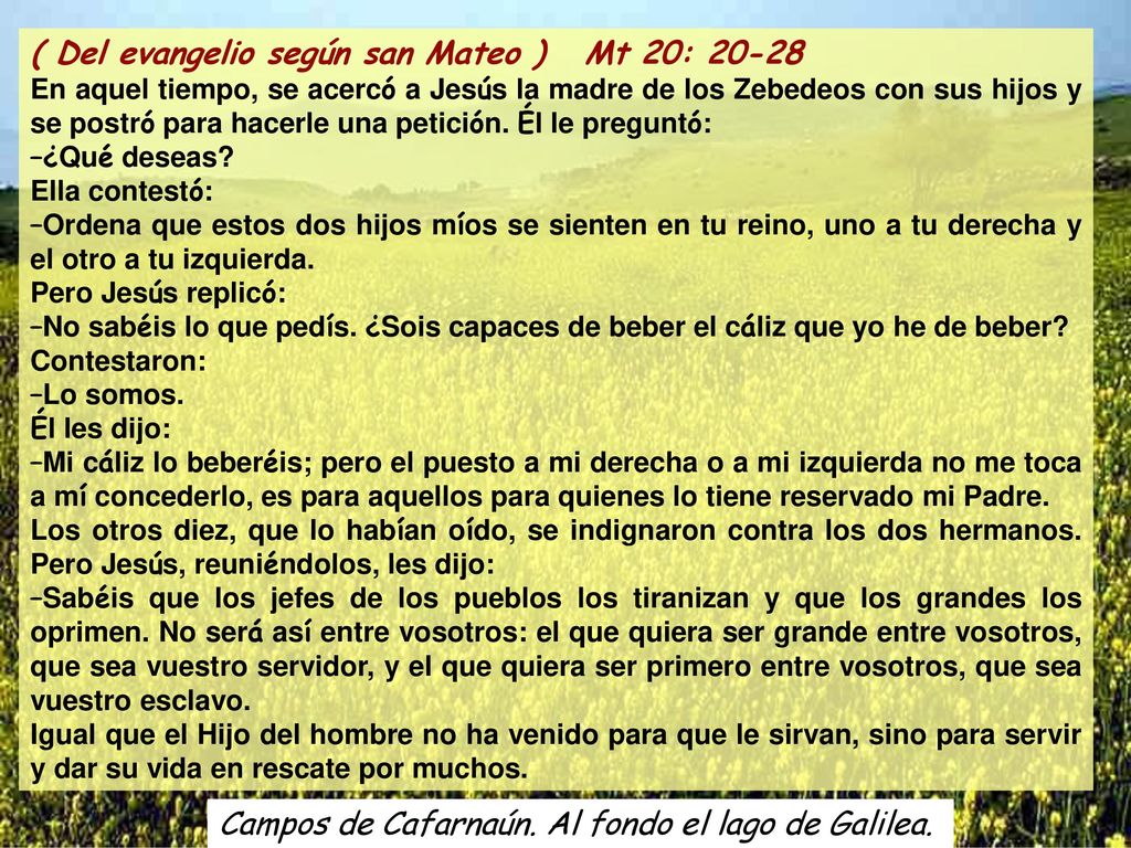 ( Del evangelio según san Mateo ) Mt 20: 20-28