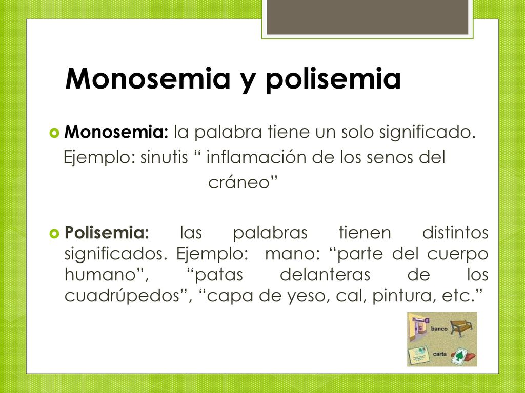 Monosemia y polisemia Monosemia: la palabra tiene un solo significado.