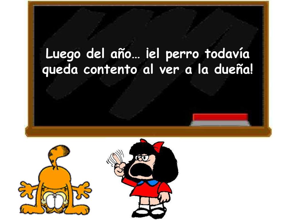 Luego del año… ¡el perro todavía queda contento al ver a la dueña!