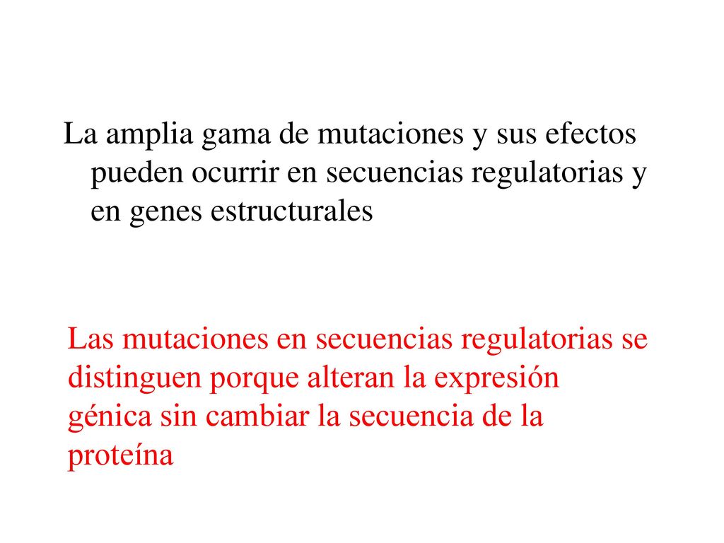 La amplia gama de mutaciones y sus efectos pueden ocurrir en secuencias regulatorias y en genes estructurales