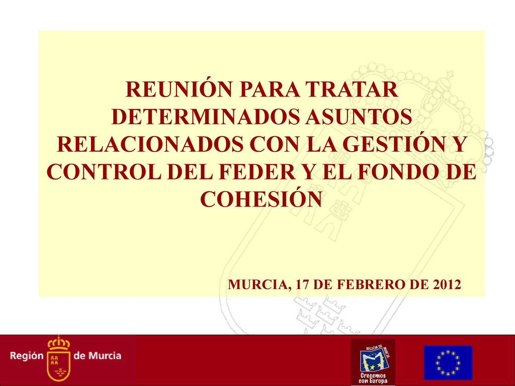 REUNIÓN PARA TRATAR DETERMINADOS ASUNTOS RELACIONADOS CON LA GESTIÓN Y CONTROL DEL FEDER Y EL FONDO DE COHESIÓN