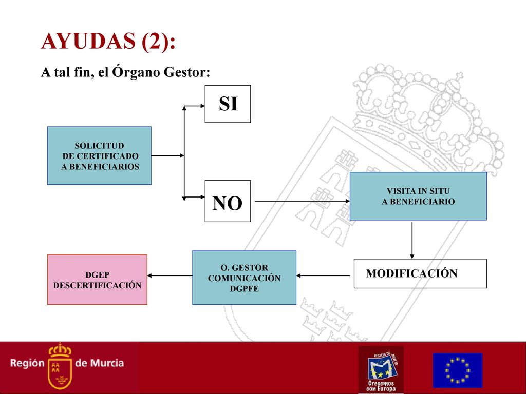 AYUDAS (2): NO SI A tal fin, el Órgano Gestor: MODIFICACIÓN SOLICITUD