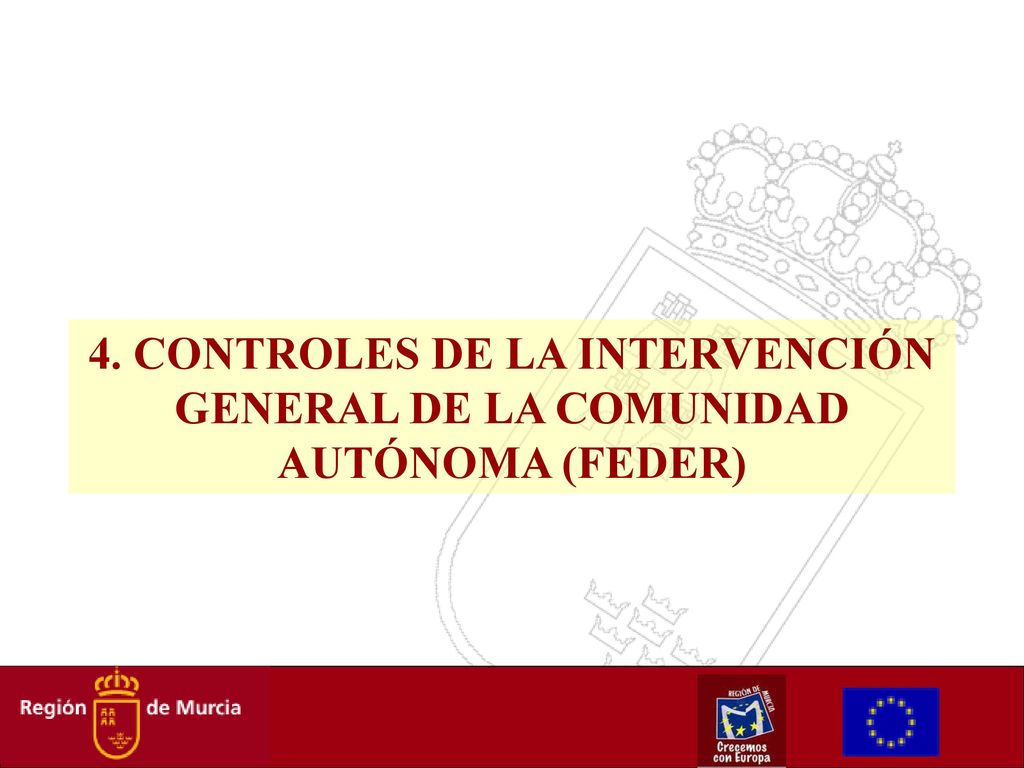 4. CONTROLES DE LA INTERVENCIÓN GENERAL DE LA COMUNIDAD AUTÓNOMA (FEDER)
