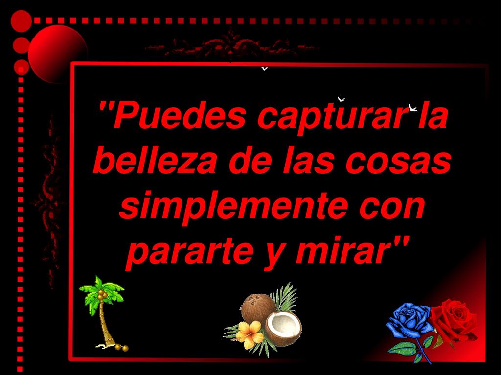 Puedes capturar la belleza de las cosas simplemente con pararte y mirar