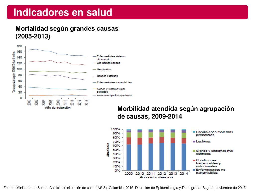 Indicadores en salud Mortalidad según grandes causas ( )