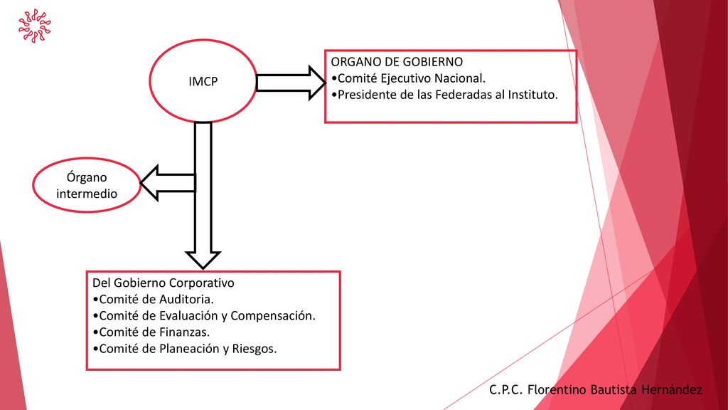 IMCP ORGANO DE GOBIERNO. Comité Ejecutivo Nacional. Presidente de las Federadas al Instituto. Órgano intermedio.