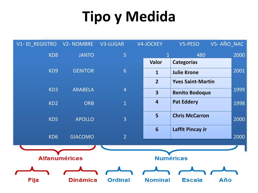 Tipo y Medida V1- ID_REGISTRO V2- NOMBRE V3-LUGAR V4-JOCKEY V5-PESO