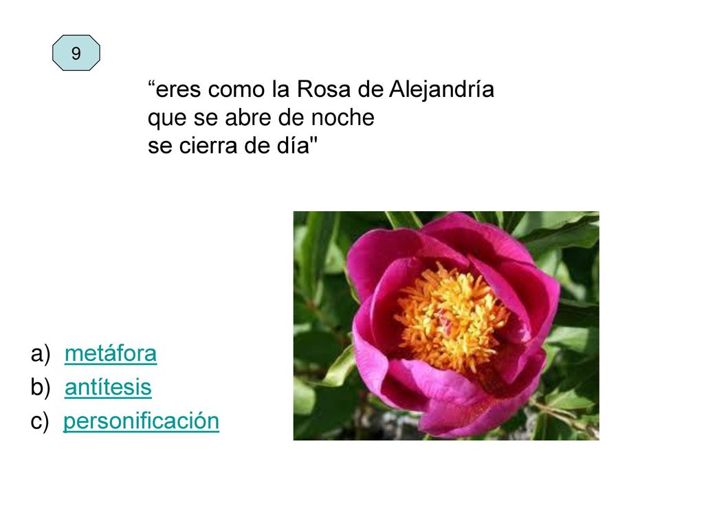 9 eres como la Rosa de Alejandría que se abre de noche se cierra de día a) metáfora. b) antítesis.