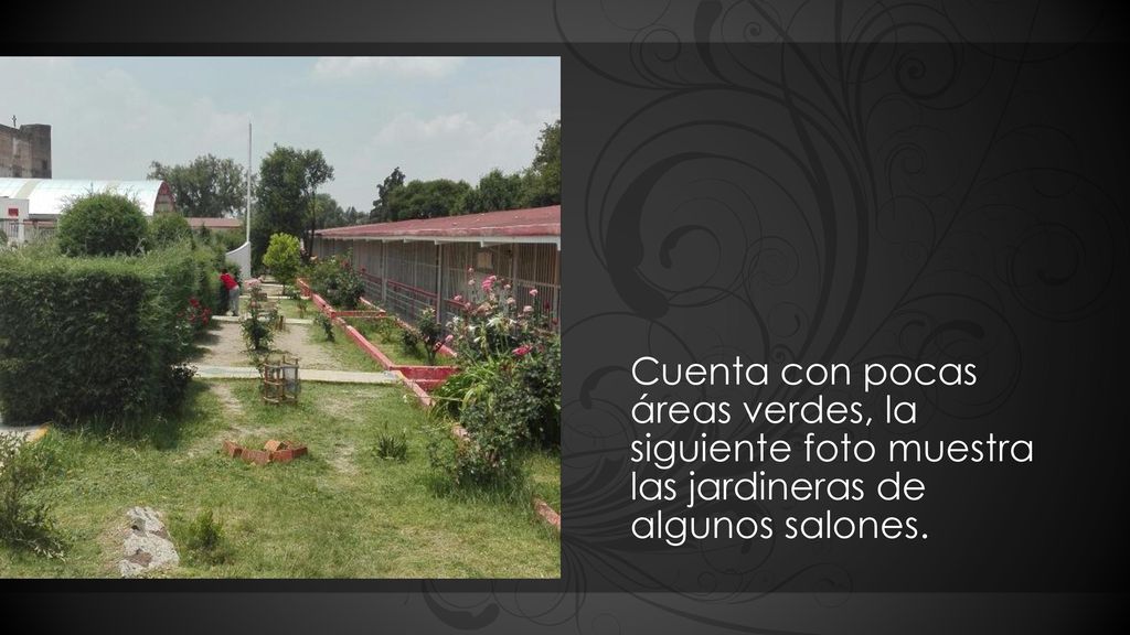 Cuenta con pocas áreas verdes, la siguiente foto muestra las jardineras de algunos salones.