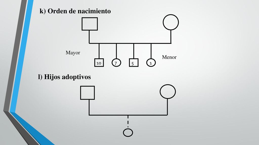 k) Orden de nacimiento Mayor Menor l) Hijos adoptivos