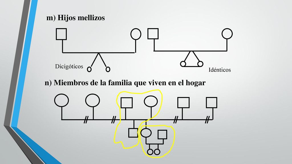 n) Miembros de la familia que viven en el hogar