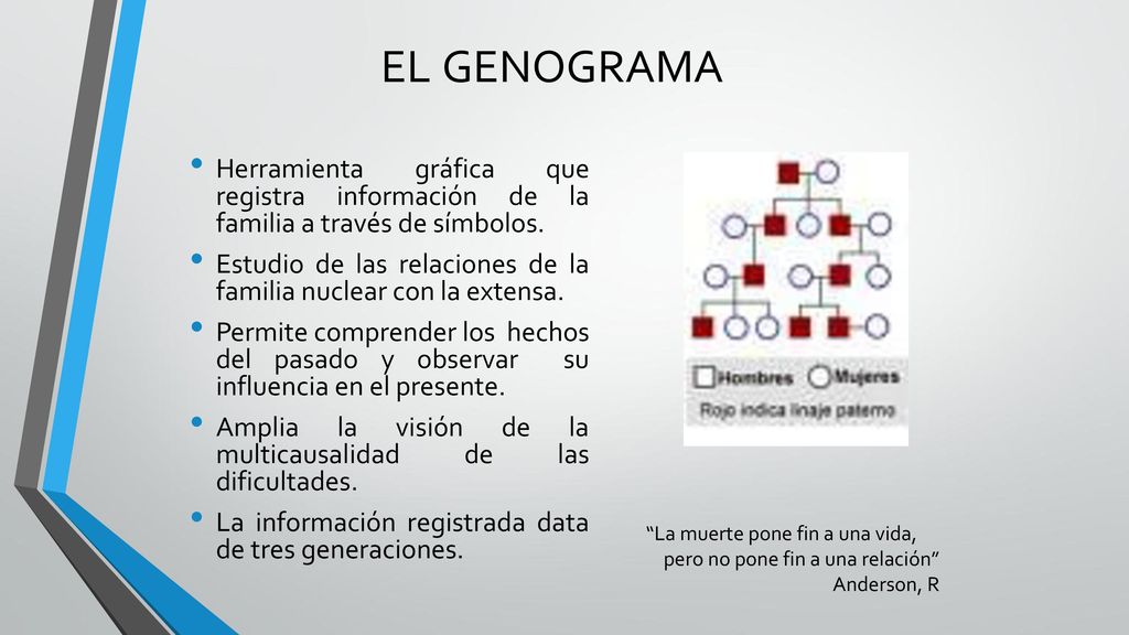 EL GENOGRAMA Herramienta gráfica que registra información de la familia a través de símbolos.