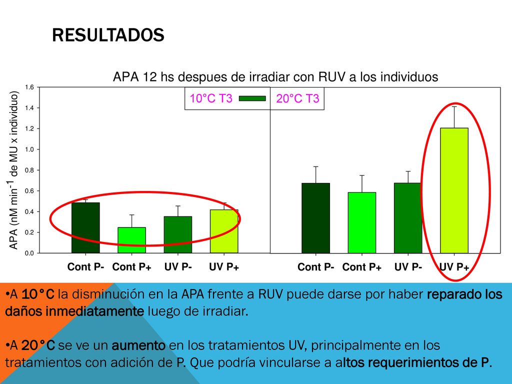 resultados A 10°C la disminución en la APA frente a RUV puede darse por haber reparado los daños inmediatamente luego de irradiar.