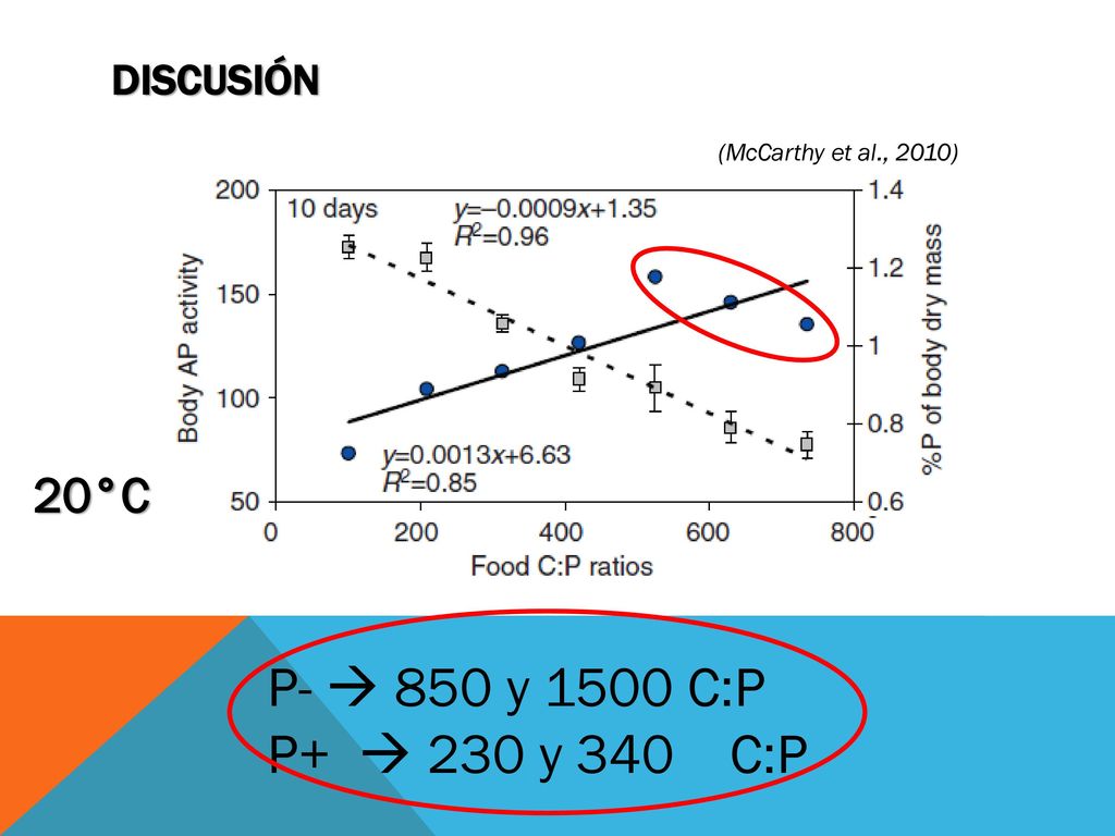 P-  850 y 1500 C:P P+  230 y 340 C:P 20°C DISCUSIÓN