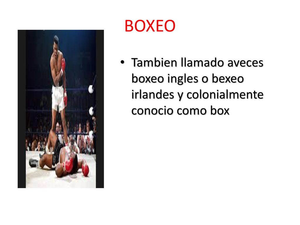 BOXEO Tambien llamado aveces boxeo ingles o bexeo irlandes y colonialmente conocio como box