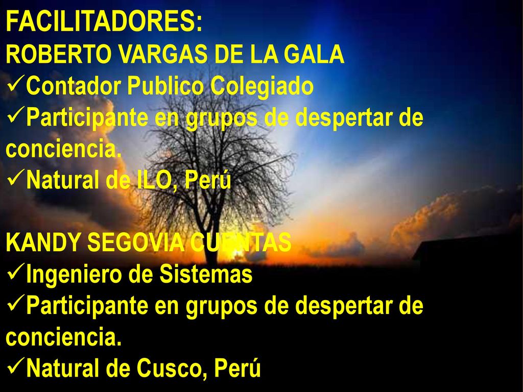 FACILITADORES: ROBERTO VARGAS DE LA GALA Contador Publico Colegiado