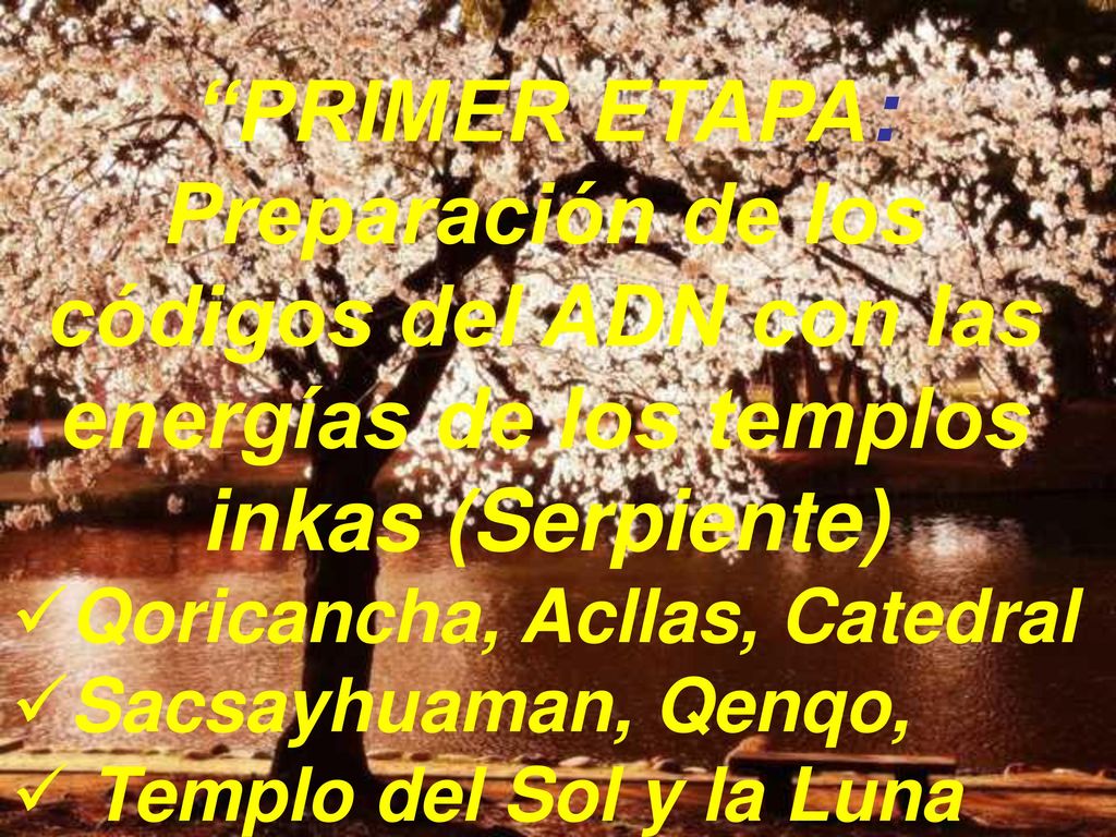 PRIMER ETAPA: Preparación de los códigos del ADN con las energías de los templos inkas (Serpiente)