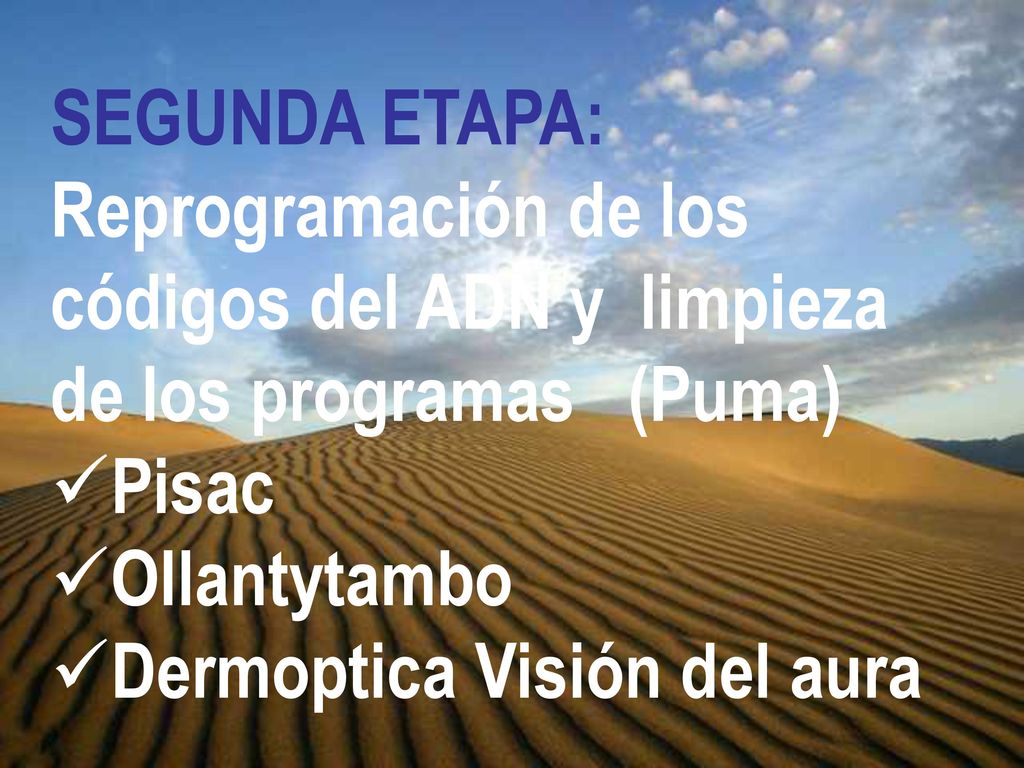 SEGUNDA ETAPA: Reprogramación de los códigos del ADN y limpieza de los programas (Puma)