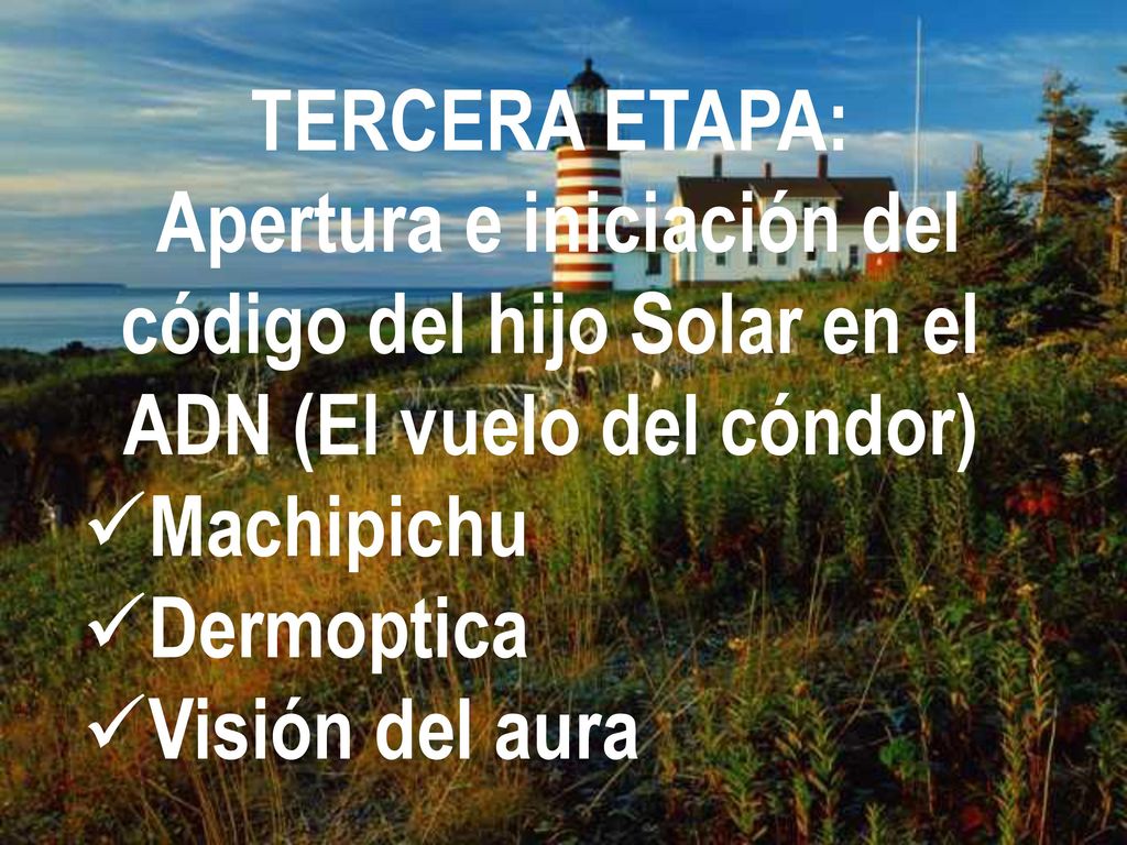 TERCERA ETAPA: Apertura e iniciación del código del hijo Solar en el ADN (El vuelo del cóndor) Machipichu.