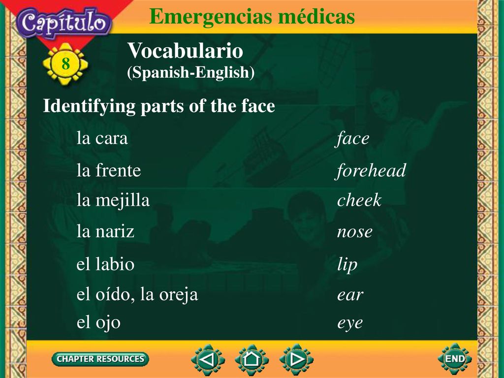 Emergencias médicas Vocabulario Identifying parts of the face la cara
