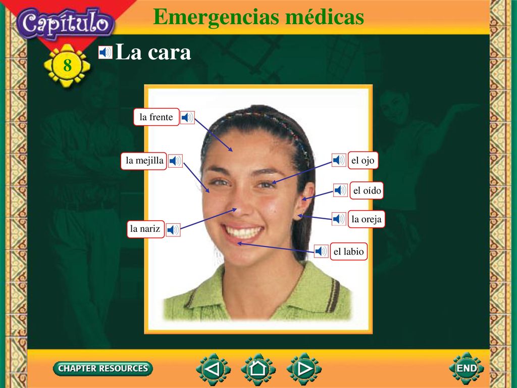 Emergencias médicas La cara la frente la mejilla el ojo el oído