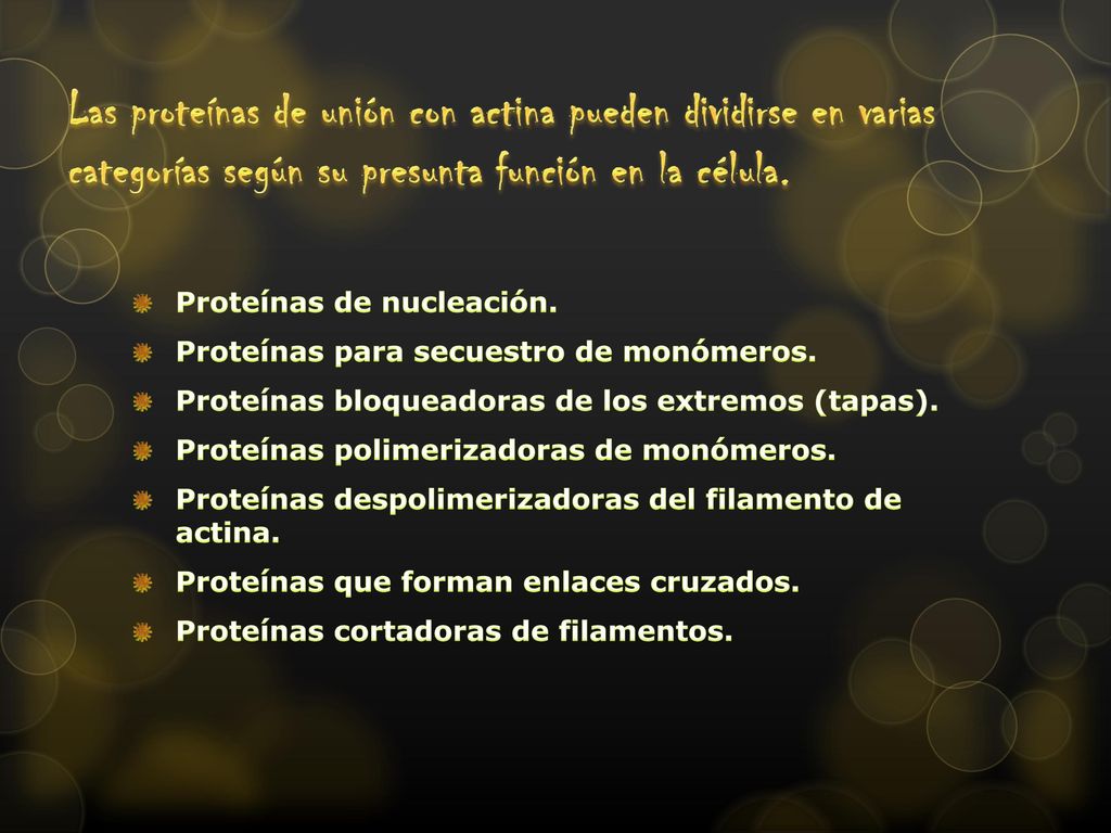 Las proteínas de unión con actina pueden dividirse en varias categorías según su presunta función en la célula.