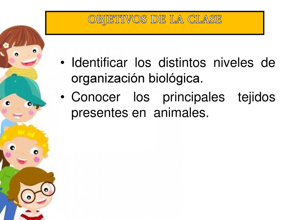 OBJETIVOS DE LA CLASE Identificar los distintos niveles de organización biológica.