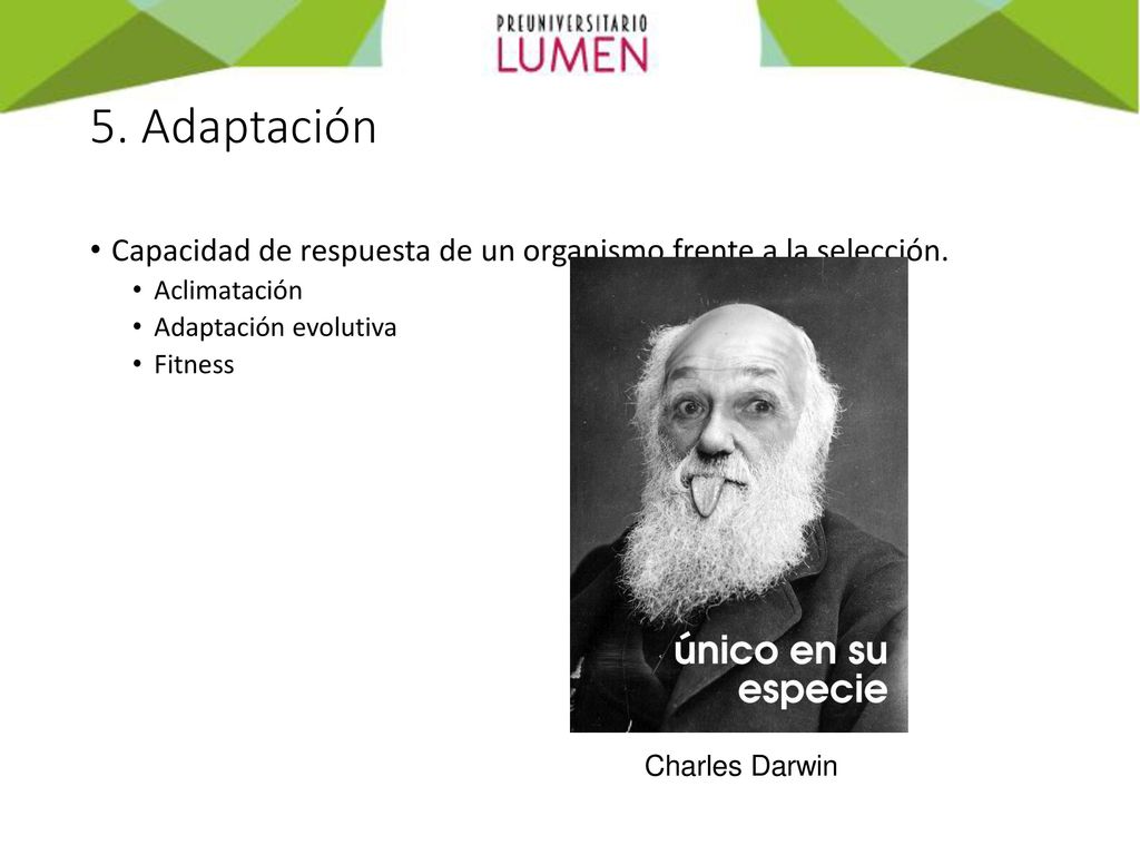 5. Adaptación Capacidad de respuesta de un organismo frente a la selección. Aclimatación. Adaptación evolutiva.