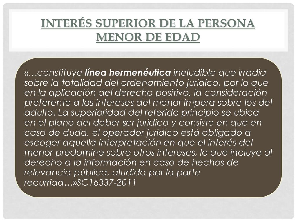 Interés superior de la persona menor de edad