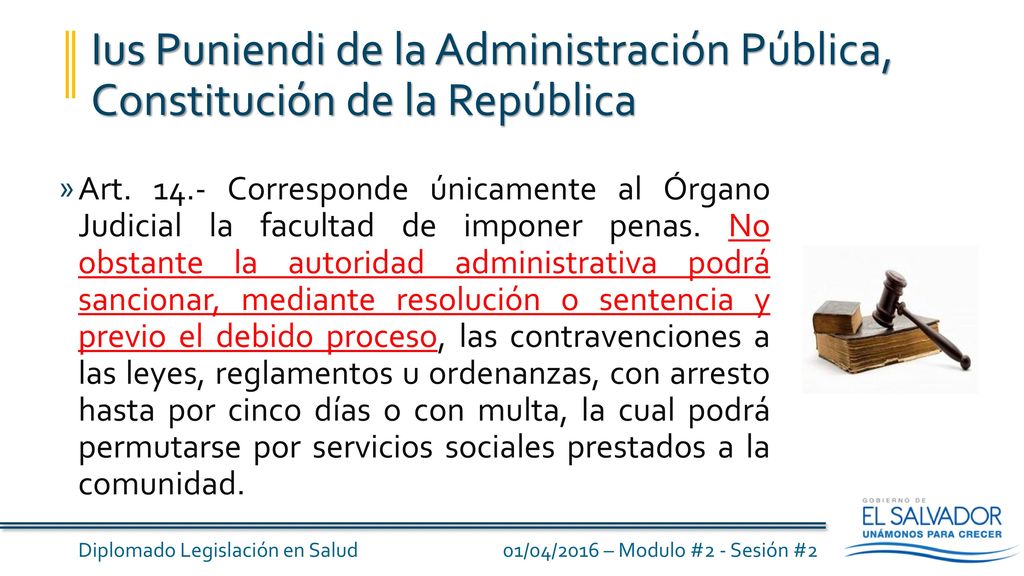 Ius Puniendi de la Administración Pública, Constitución de la República