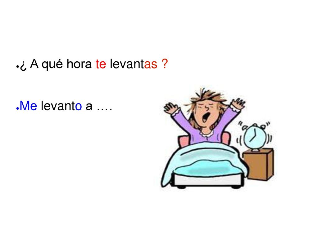 ¿ A qué hora te levantas Me levanto a ….