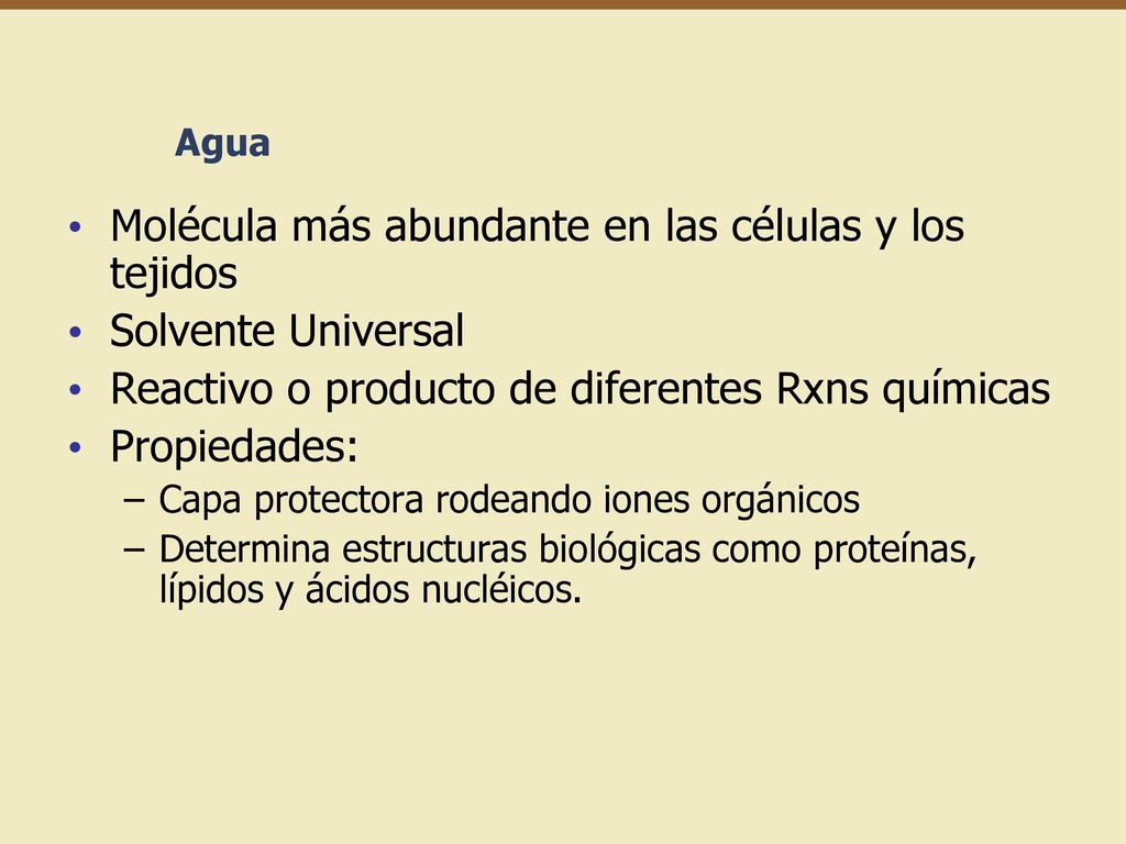 Molécula más abundante en las células y los tejidos Solvente Universal