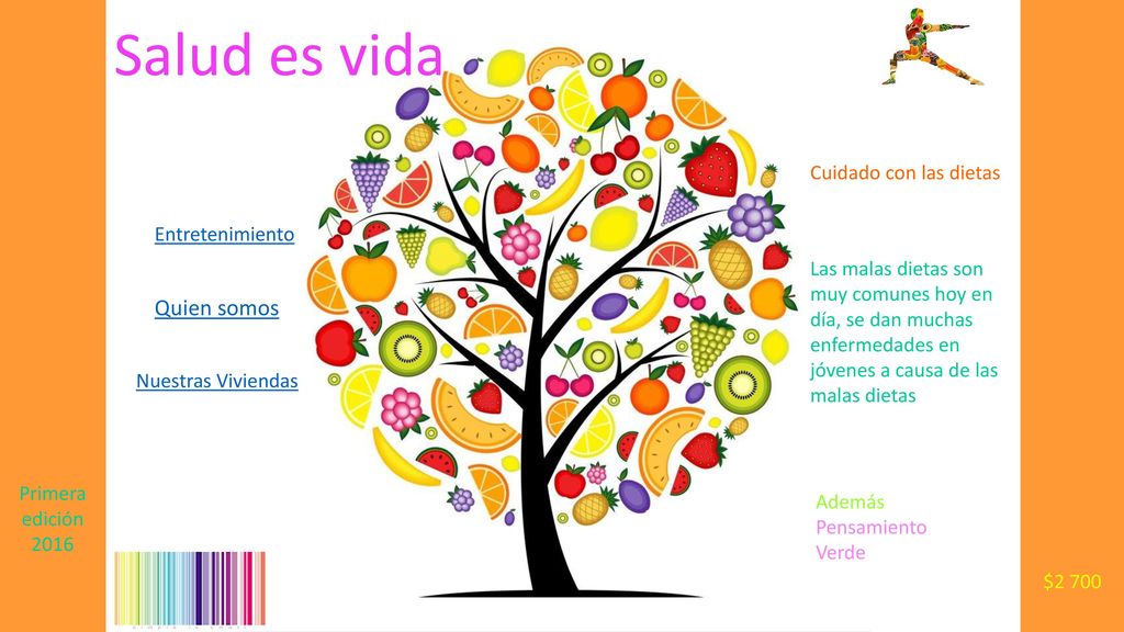 Salud es vida Quien somos Cuidado con las dietas Entretenimiento