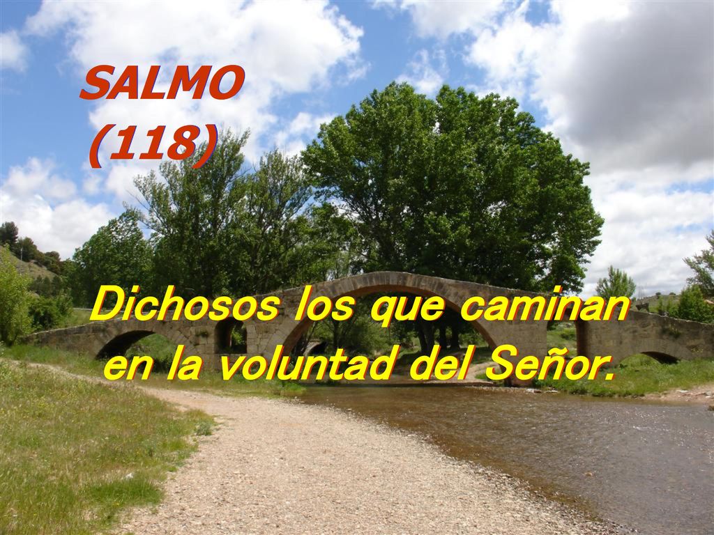 Dichosos los que caminan en la voluntad del Señor.
