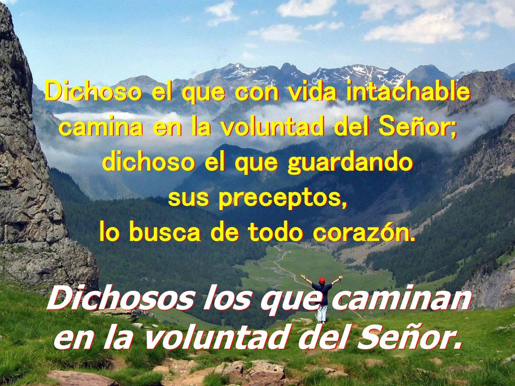 Dichosos los que caminan en la voluntad del Señor.