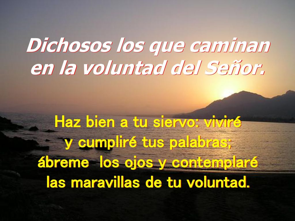 Dichosos los que caminan en la voluntad del Señor.