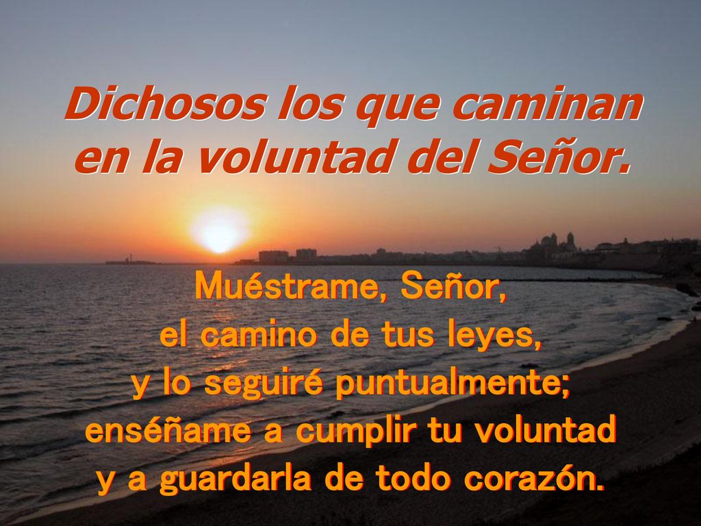 Dichosos los que caminan en la voluntad del Señor.