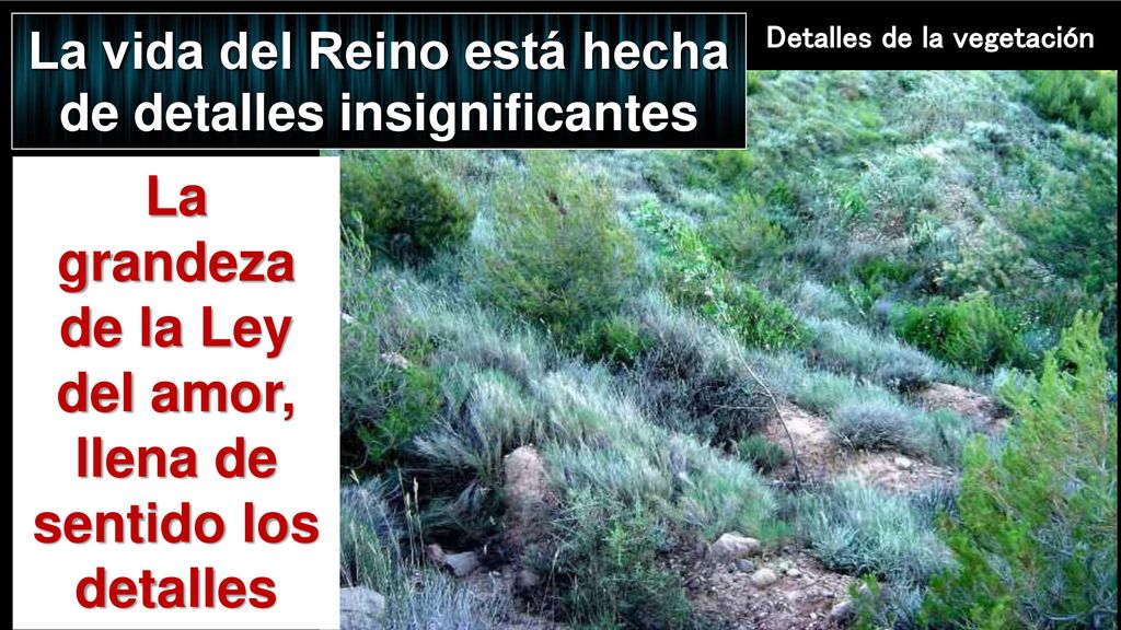 La grandeza de la Ley del amor, llena de sentido los detalles