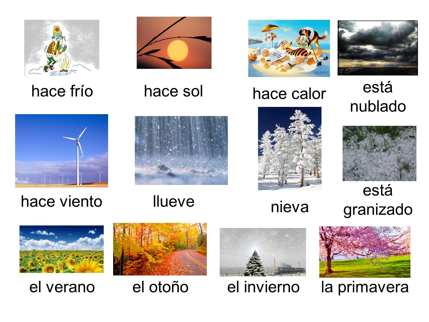 está nublado. hace frío. hace sol. hace calor. está. granizado. hace viento. llueve. nieva.