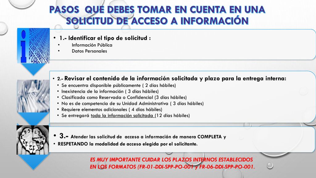 PASOS que debes tomar en cuenta en una Solicitud de Acceso a Información