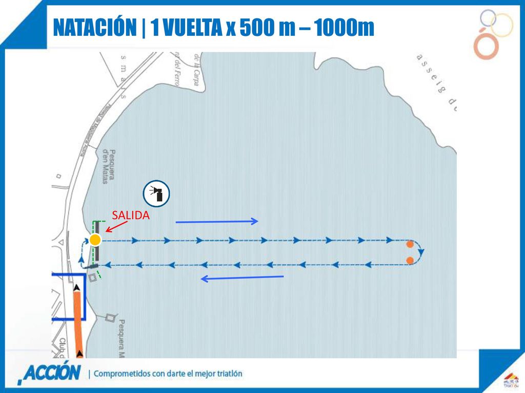 NATACIÓN | 1 VUELTA x 500 m – 1000m SALIDA