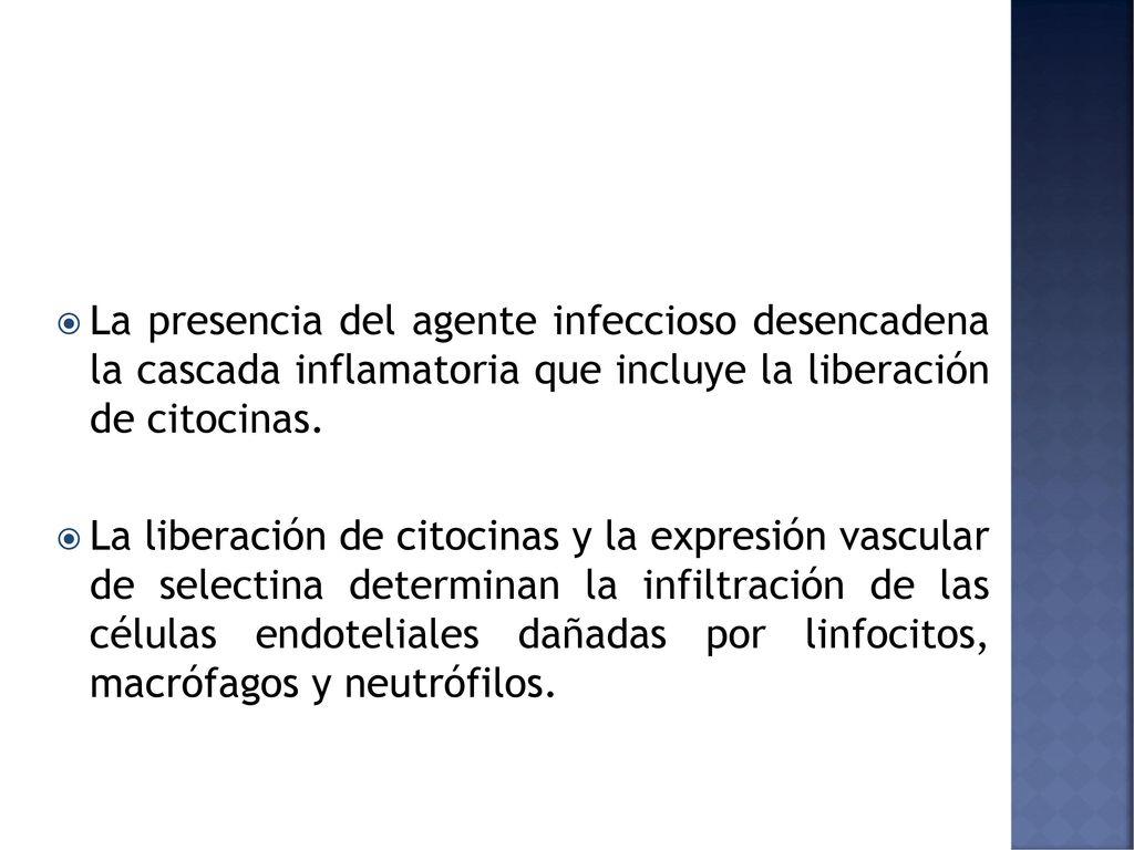 La presencia del agente infeccioso desencadena la cascada inflamatoria que incluye la liberación de citocinas.